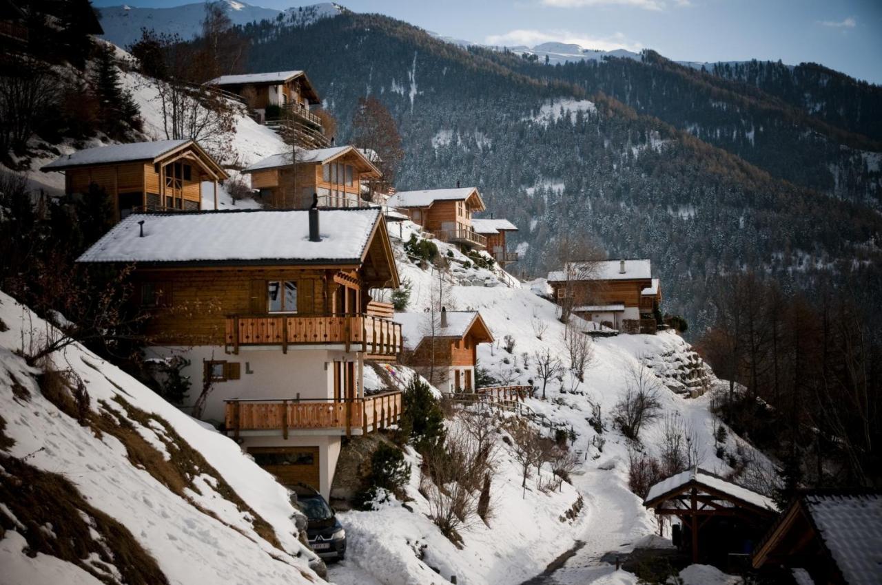 Greppons COSY&MOUNTAIN apartments by Alpvision Résidences Veysonnaz Extérieur photo